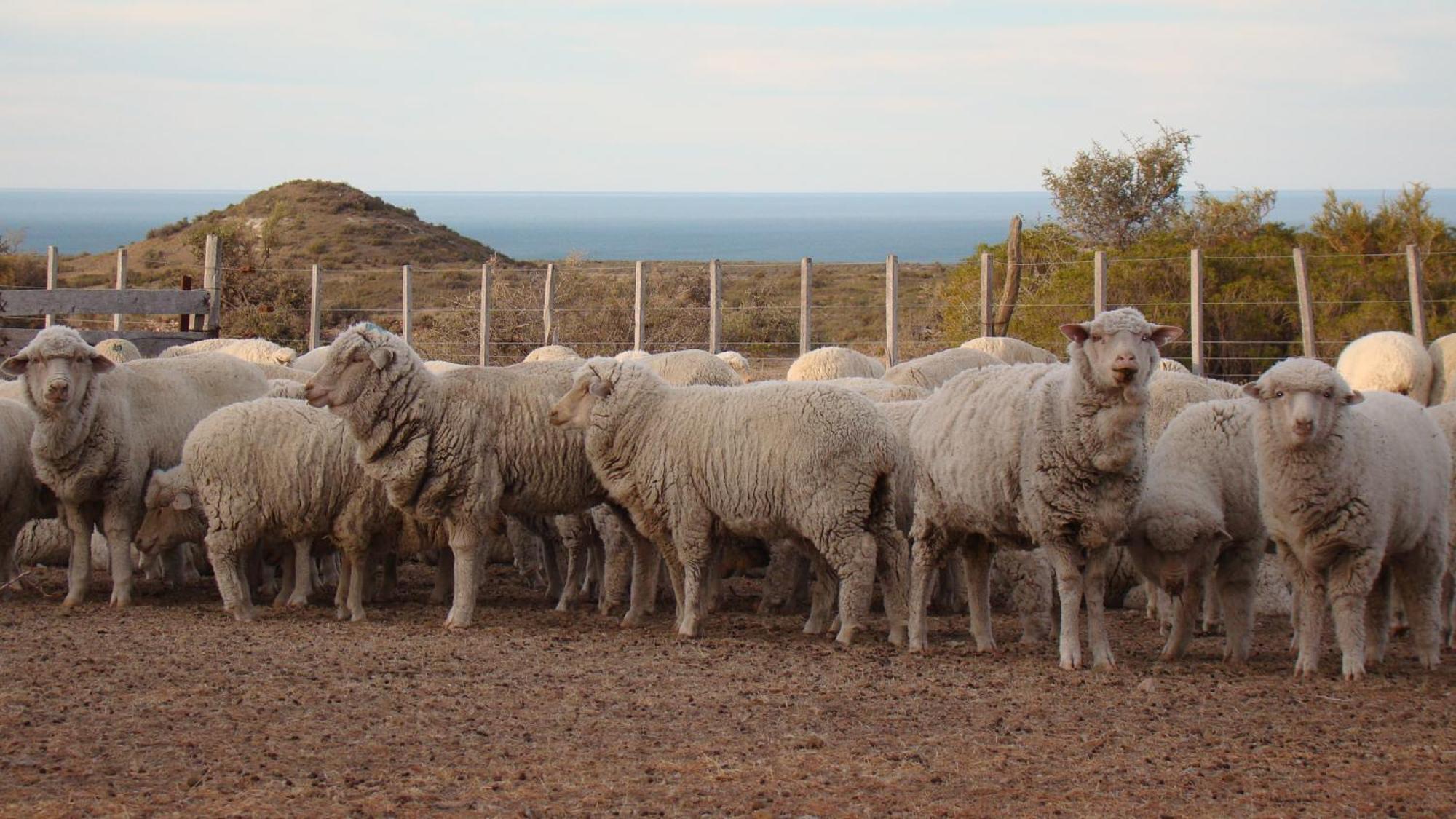 La Antonieta Estancia De Mar Dos Pozos Eksteriør bilde