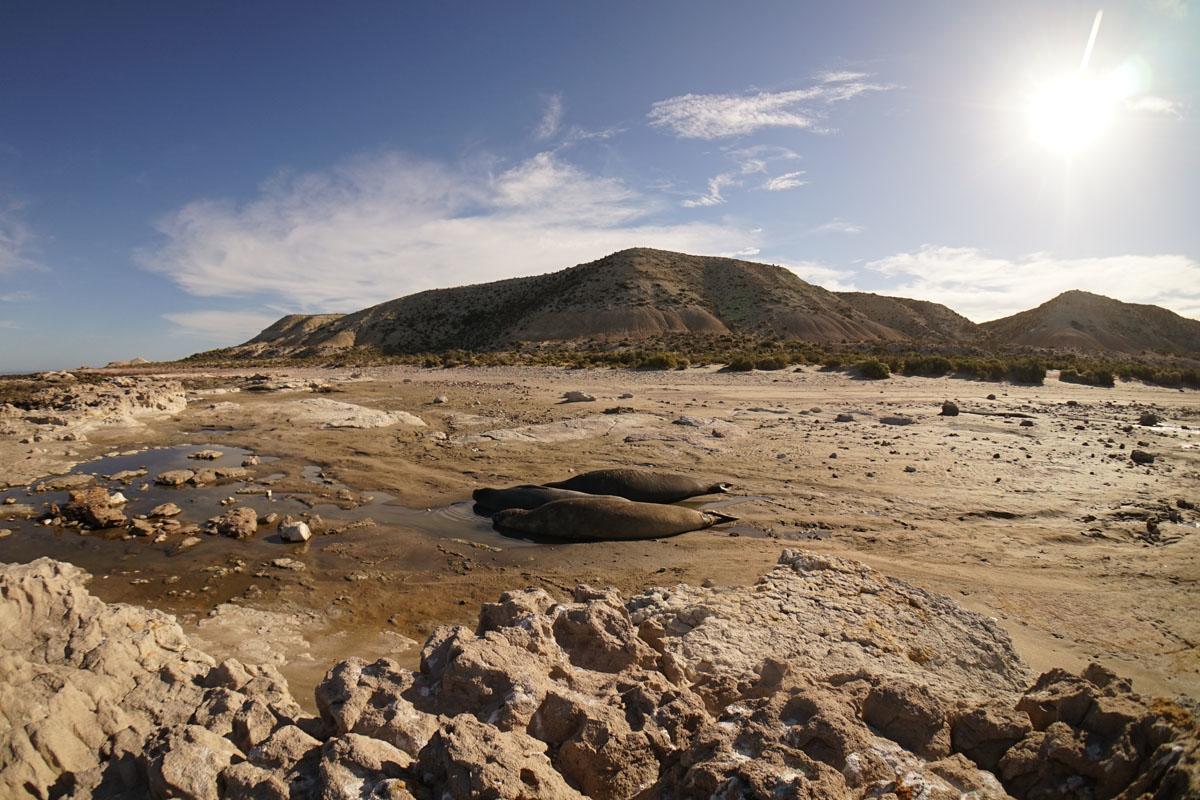 La Antonieta Estancia De Mar Dos Pozos Eksteriør bilde