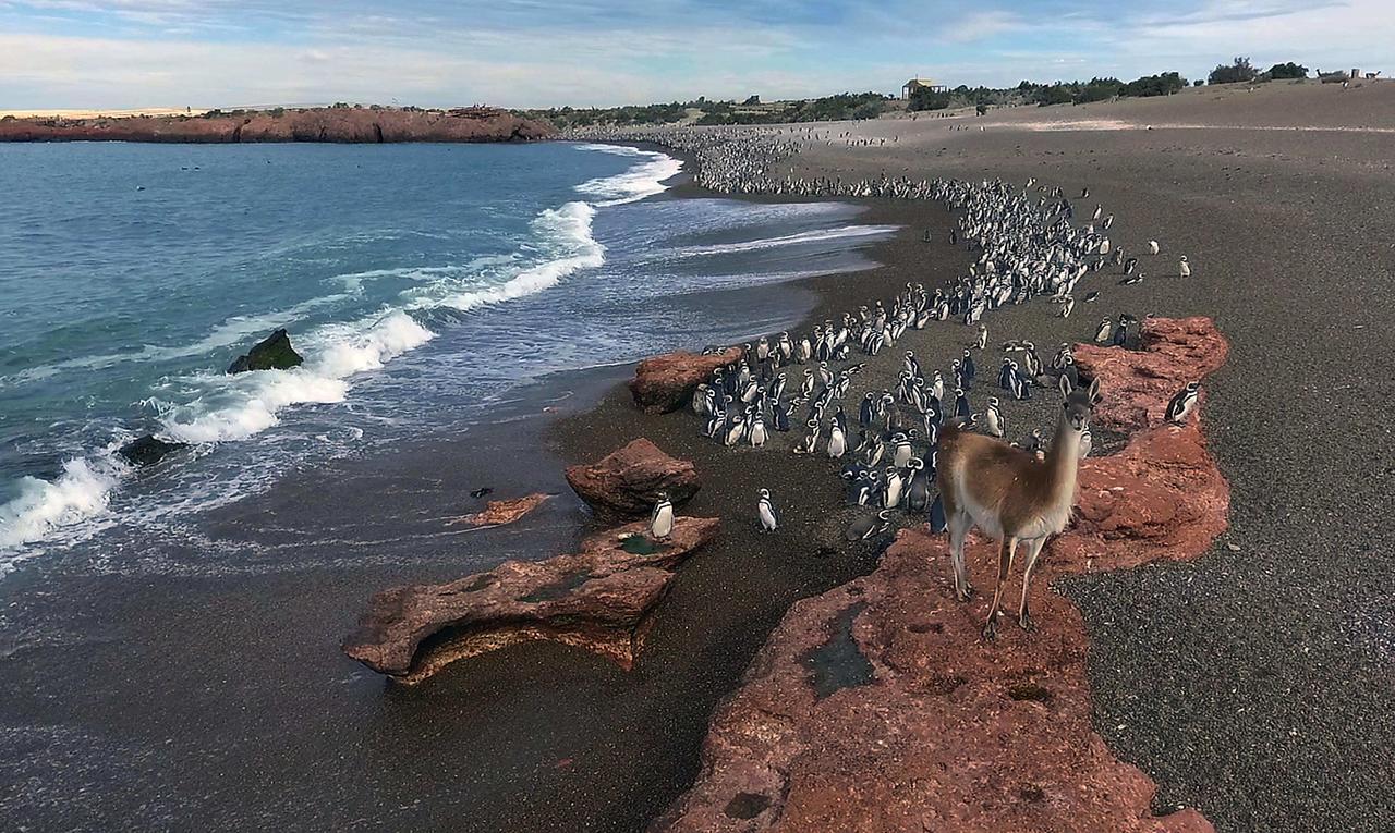 La Antonieta Estancia De Mar Dos Pozos Eksteriør bilde