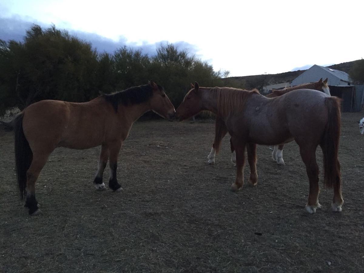 La Antonieta Estancia De Mar Dos Pozos Eksteriør bilde